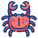 crab, sea, beach, animal, aquatic