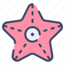 animal, beach, ocean, sea, star, starfish