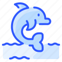 animal, dolphin, fish, ocean, sea, water