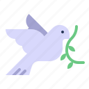 bird, dove, love, pigeon, relationship, romance, valentine day