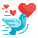 bird, valentines, heart, lover, romantic, fly, pigeon