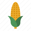 corn, food, vegan, vegetarian, vegetable