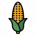 corn, food, vegan, vegetarian, vegetable