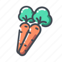 carrot, vegetable