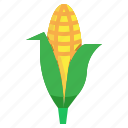 corn, food, fruit, healthy, organic, vegan