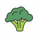 broccoli, food, healthy, vegetable, vegetarian