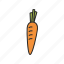 carrot, food, healthy, root, vegetable 