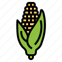 corn, food, plant, vegetable, vegetarian