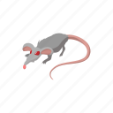 animal, cartoon, disease, infection, pest, rat, rodent