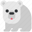 animal, bear, beast, fauna, wild, wildlife, zoo