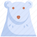 animal, animals, bear, cold, iceberg