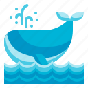 whale, aquatic, animal, sea, ocean