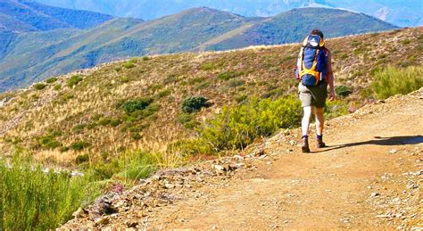 Camino de Santiago