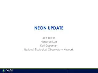 NEON UPDATE