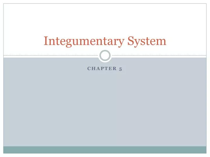 integumentary system