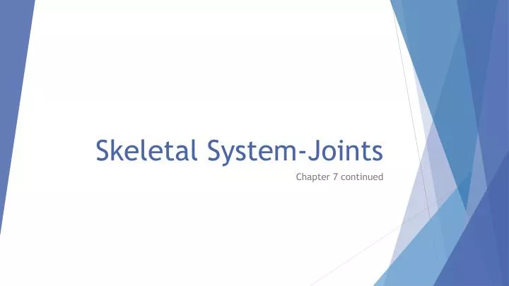 skeletal system joints