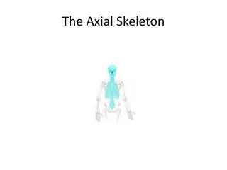 The Axial Skeleton