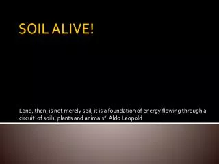 SOIL ALIVE!