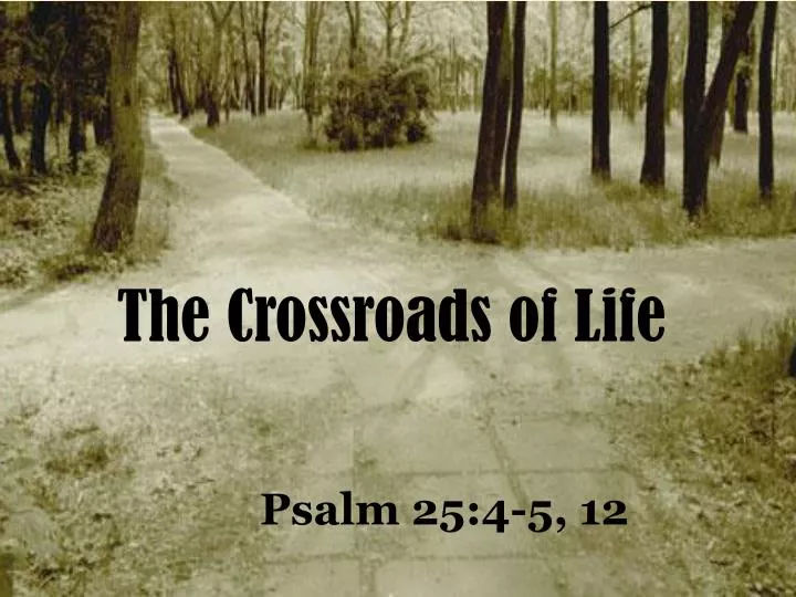 the crossroads of life