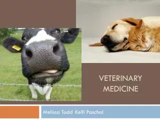 Veterinary Medicine