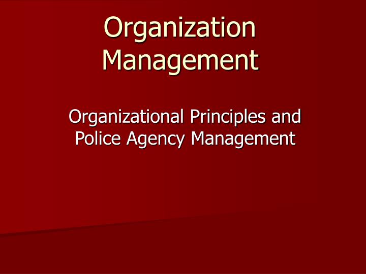 organization management