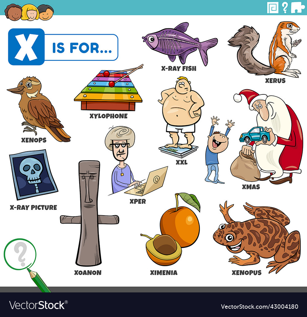 Letter x words educational set with cartoon Vector Image