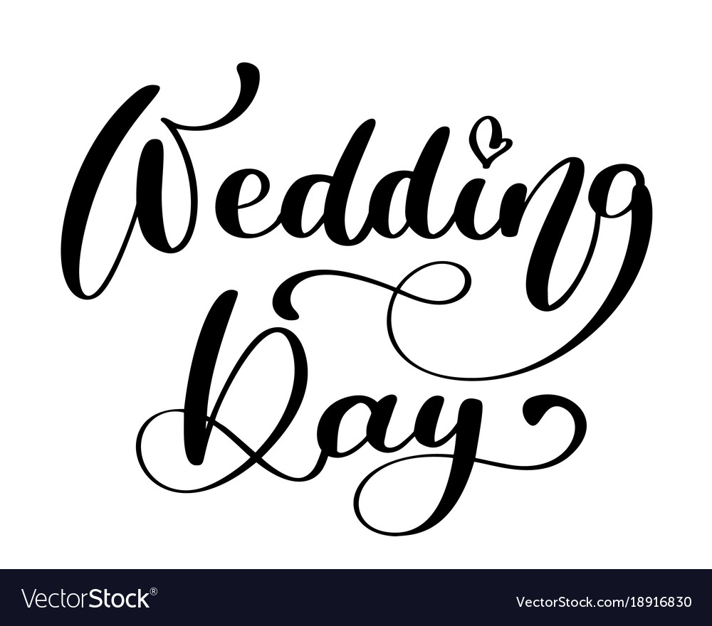 Wedding day text on white background Royalty Free Vector