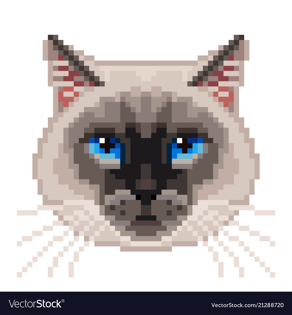 Cat Pixel Art Grid