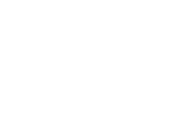 Visa credit logo