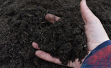 Making Your Own Biochar