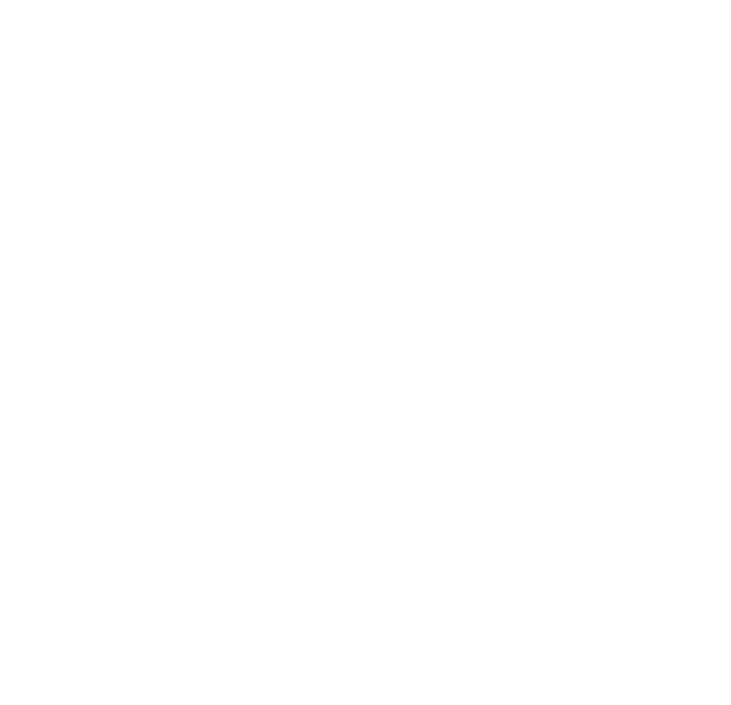 wps-facebook-logo