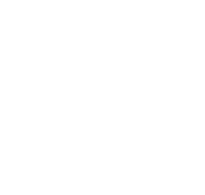 wps-youtube-logo