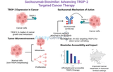 Sacituzumab: Exploring its Role in Cancer Research and the Rise of Biosimilars