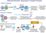 Siltuximab: Exploring IL-6 Inhibition in Castleman’s Disease and Research