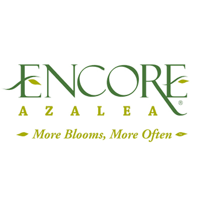 Encore Azalea