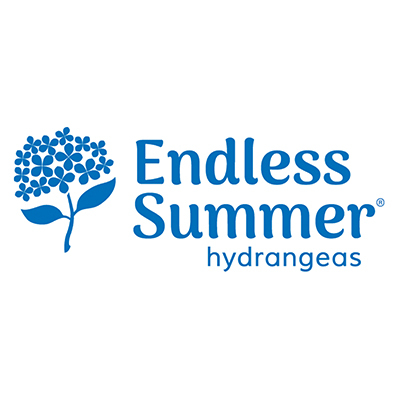 Endless Summer Hydrangeas