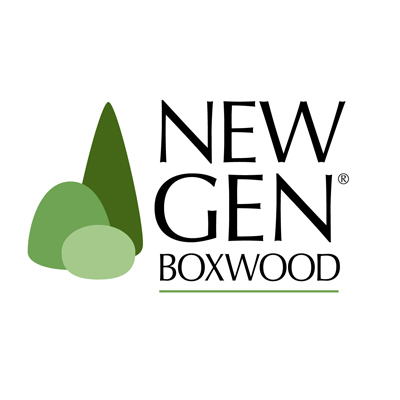 NewGen Boxwood