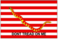 First Navy Jack Flag - Gadsden Flag History