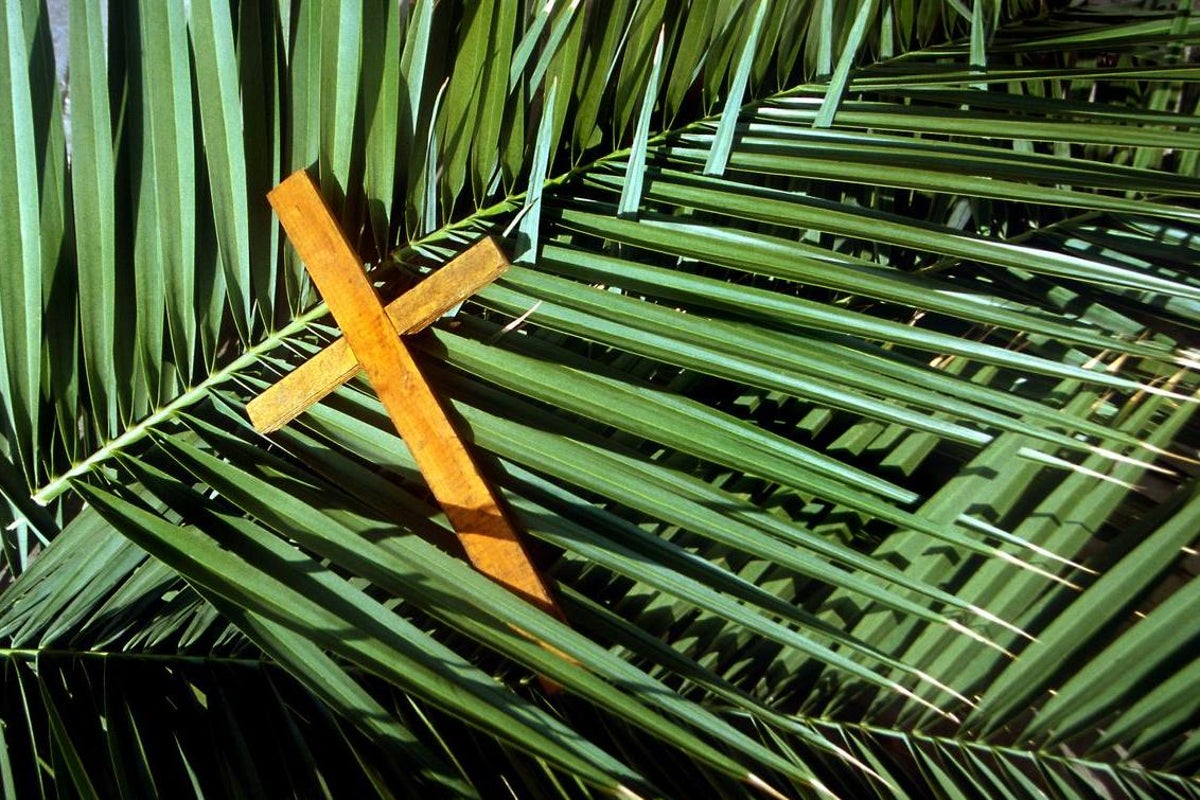 Free Palm Sunday Images 2024 - Alysa Bertina