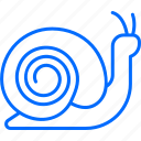 snail, spiral, winkle, creature, shell, wildlife, slow