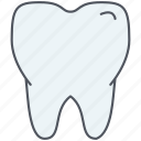 tooth, dental, dentist, dentistry, hygiene, stomatology, teeth