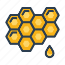 bee, honey, honeycomb, sweet