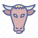 bull, cow, livestock, ox