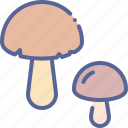 healthy, mushroom, shroom