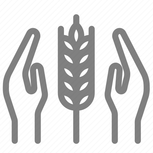 Agriculture, farming, form, grow, implant, plant, rice icon - Download on Iconfinder