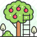 ladder, fruits, step ladder, fruit tree, pick up