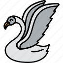 animal, bird, swan, water