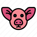 animal, farm, head, mammal, pig