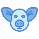 animal, farm, head, mammal, pig