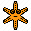 starfish, star, aquatic, animal, sea